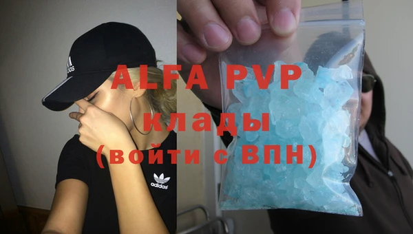 амф Липки