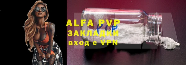 амф Липки