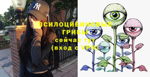 амф Липки