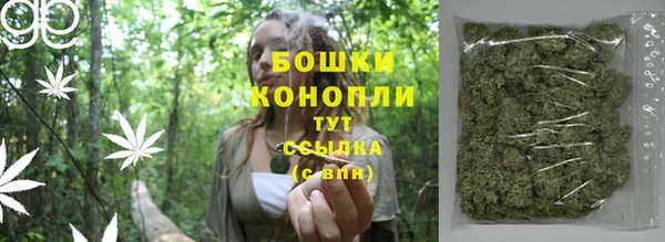 амф Липки