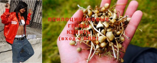 амф Липки